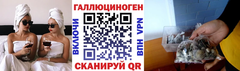 Псилоцибиновые грибы GOLDEN TEACHER  где купить наркоту  Венёв 